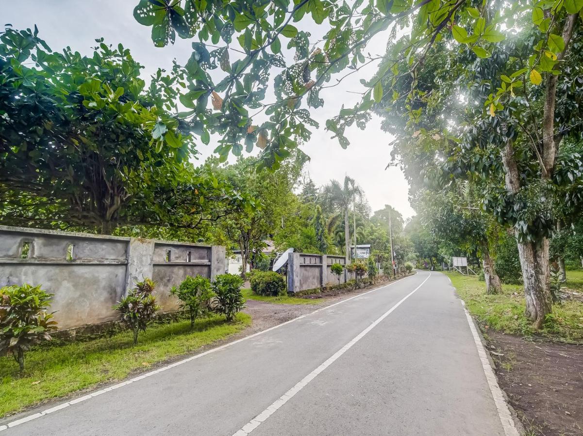 Oyo 90988 Tangkoko Jungle Homestay Rinondoran Εξωτερικό φωτογραφία