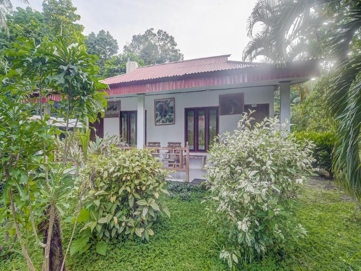 Oyo 90988 Tangkoko Jungle Homestay Rinondoran Εξωτερικό φωτογραφία