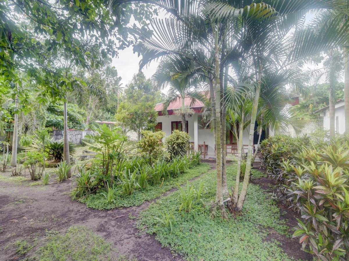 Oyo 90988 Tangkoko Jungle Homestay Rinondoran Εξωτερικό φωτογραφία